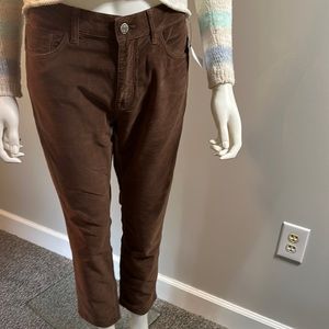 NWT Women’s Size 27/27 Mavi Brown Corduroy Pants